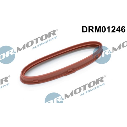 Dr.Motor Automotive Dichtring, Lader