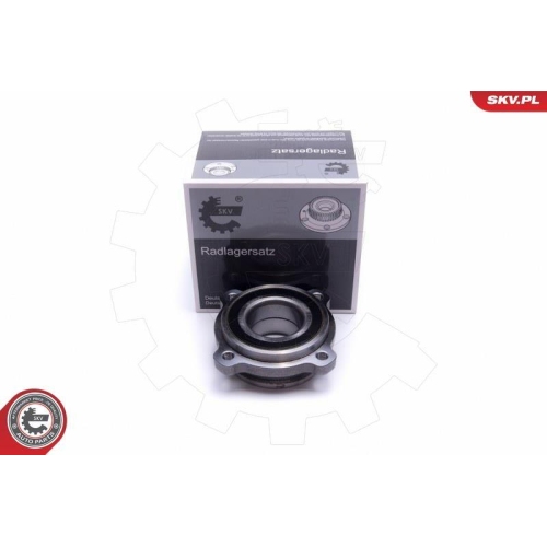 ESEN SKV Radlagersatz