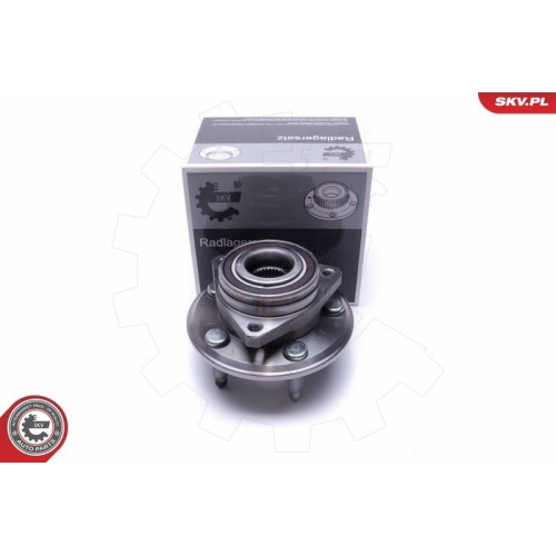 ESEN SKV Radlagersatz