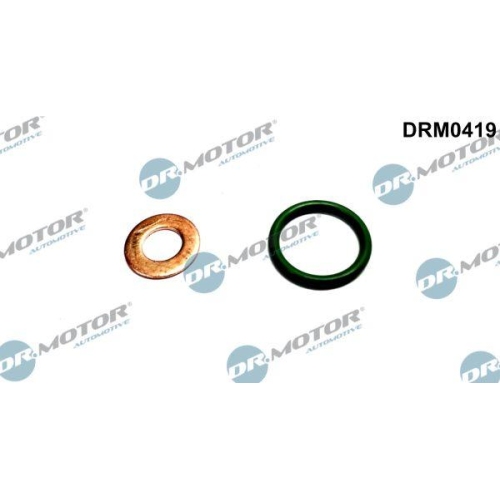 Dr.Motor Automotive Dichtungssatz, Einspritzdüse