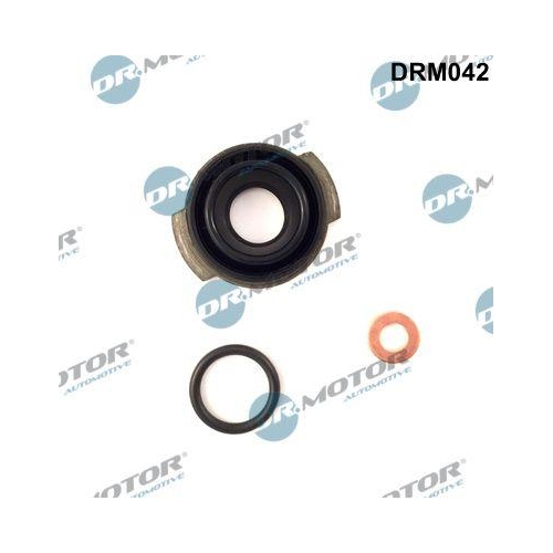 Dr.Motor Automotive Dichtungssatz, Einspritzd&uuml;se