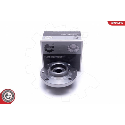 ESEN SKV Radlagersatz