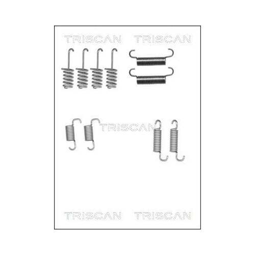 TRISCAN Zubehörsatz, Feststellbremsbacken