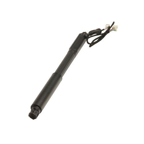 MAXGEAR Gasfeder, Einlegeboden (Koffer-/Laderaum)