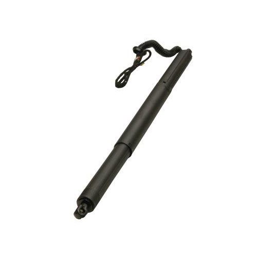 MAXGEAR Elektromotor, Heckklappe