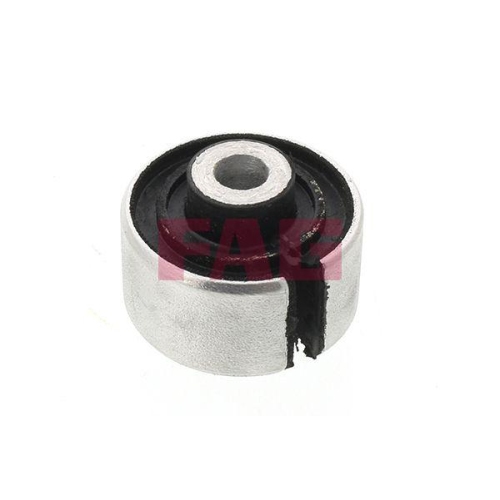 Schaeffler FAG Lagerung, Lenker