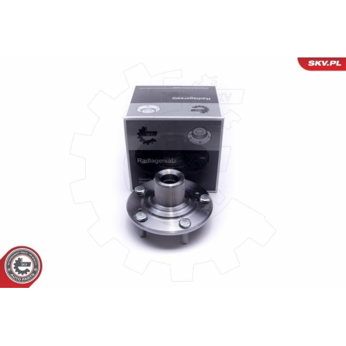 ESEN SKV Radlagersatz