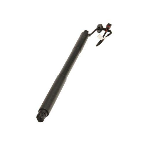 MAXGEAR Gasfeder, Einlegeboden (Koffer-/Laderaum)