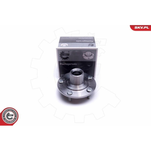 ESEN SKV Radlagersatz