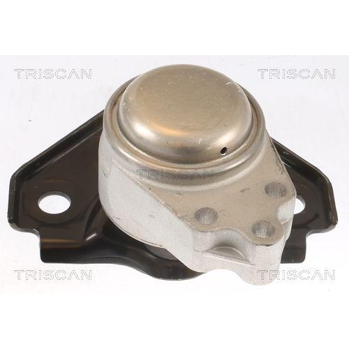 TRISCAN Lagerung, Motor