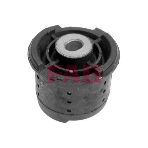 Schaeffler FAG Lagerung, Lenker