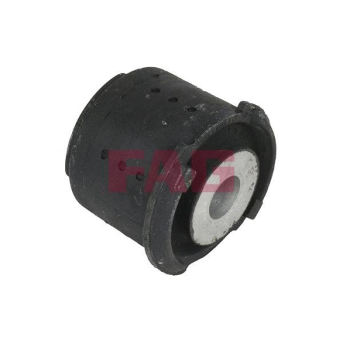 Schaeffler FAG Lagerung, Lenker