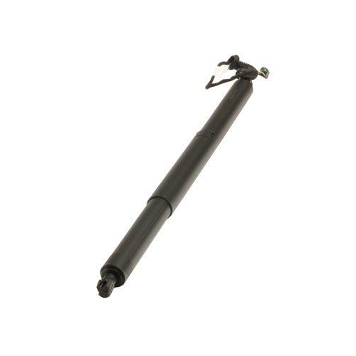 MAXGEAR Gasfeder, Einlegeboden (Koffer-/Laderaum)