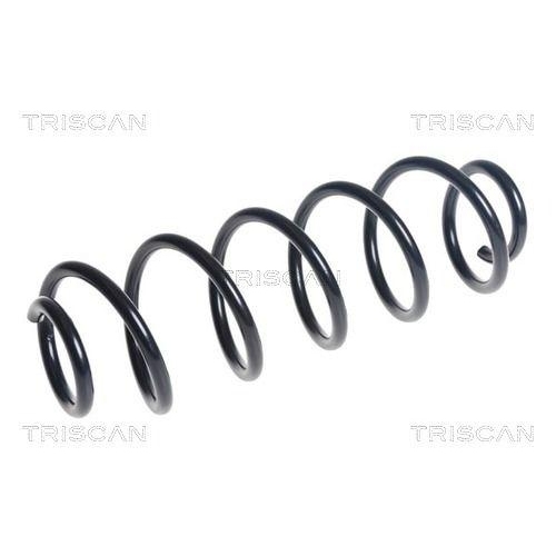 TRISCAN Fahrwerksfeder