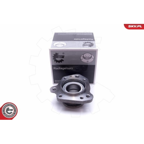ESEN SKV Radlagersatz