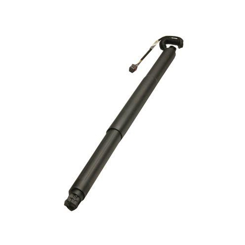 MAXGEAR Gasfeder, Einlegeboden (Koffer-/Laderaum)