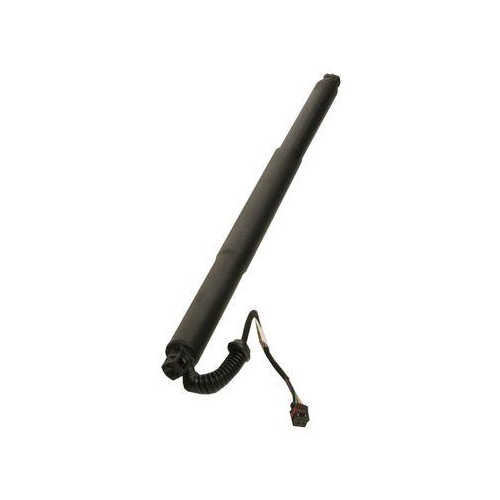 MAXGEAR Gasfeder, Einlegeboden (Koffer-/Laderaum)