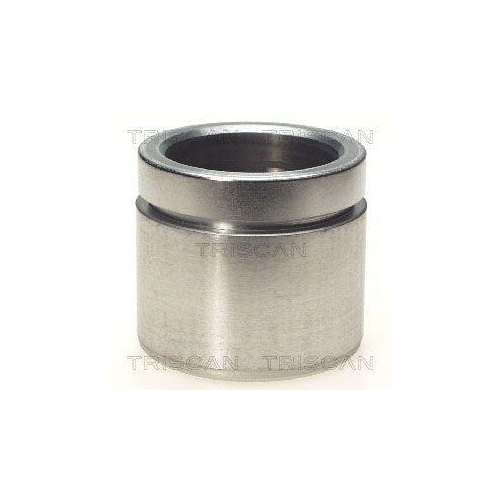 TRISCAN Kolben, Bremssattel
