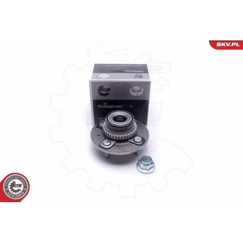 ESEN SKV Radlagersatz