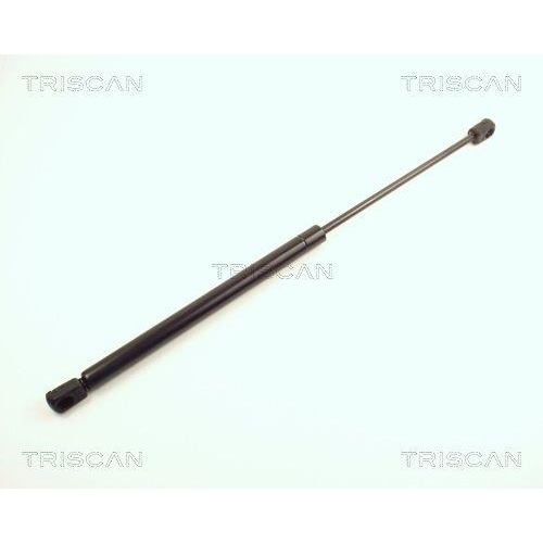 TRISCAN Gasfeder, Koffer-/Laderaum