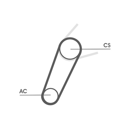 CONTINENTAL CTAM Keilrippenriemensatz