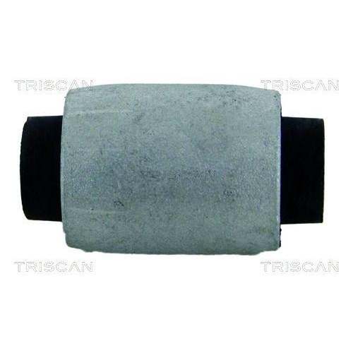 TRISCAN Lagerung, Lenker