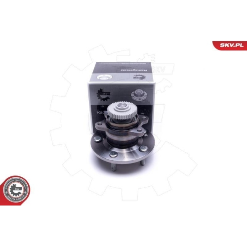 ESEN SKV Radlagersatz