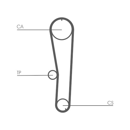 CONTINENTAL CTAM Zahnriemen