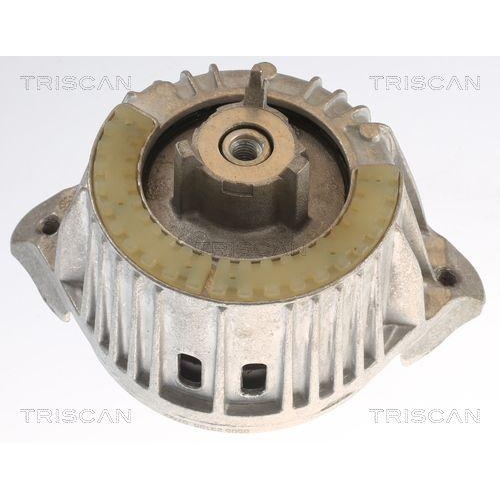 TRISCAN Lagerung, Motor