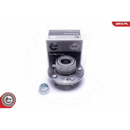 ESEN SKV Radlagersatz