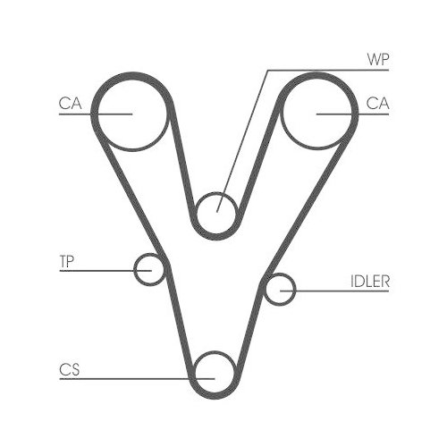 CONTINENTAL CTAM Zahnriemen