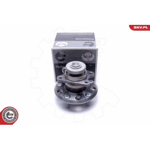 ESEN SKV Radlagersatz