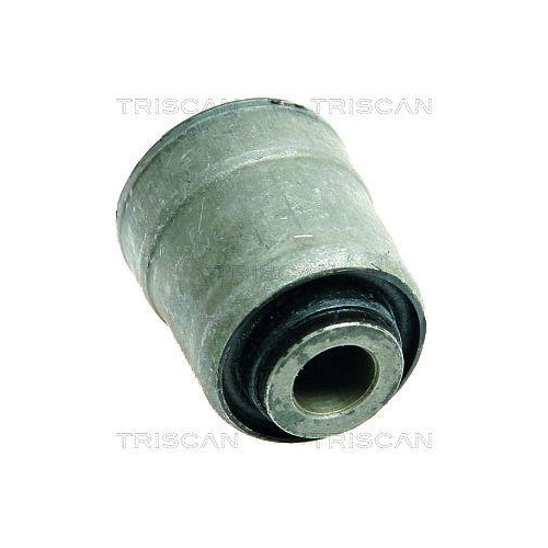 TRISCAN Lagerung, Lenker