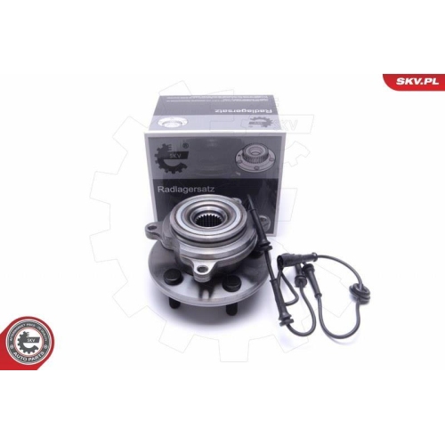 ESEN SKV Radlagersatz