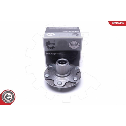 ESEN SKV Radlagersatz