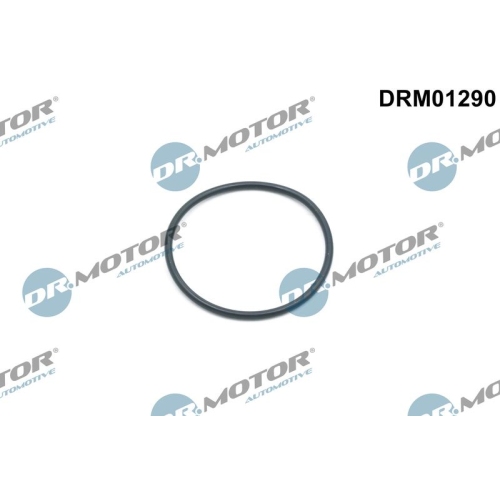 Dr.Motor Automotive Dichtring, Steuerkettenspanner