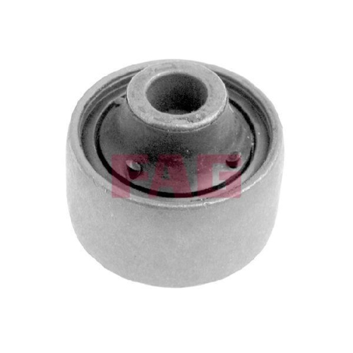 Schaeffler FAG Lagerung, Lenker