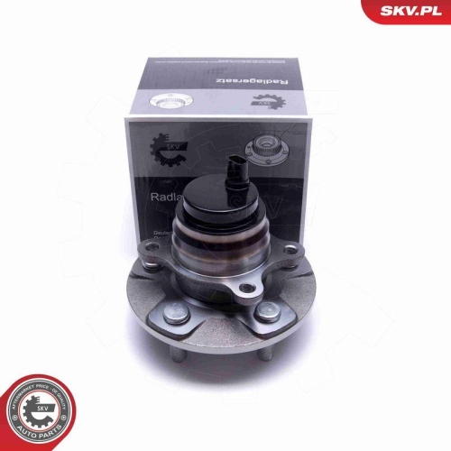 ESEN SKV Radlagersatz