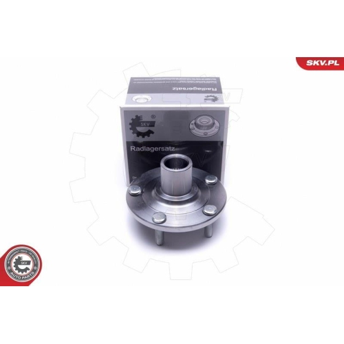 ESEN SKV Radlagersatz