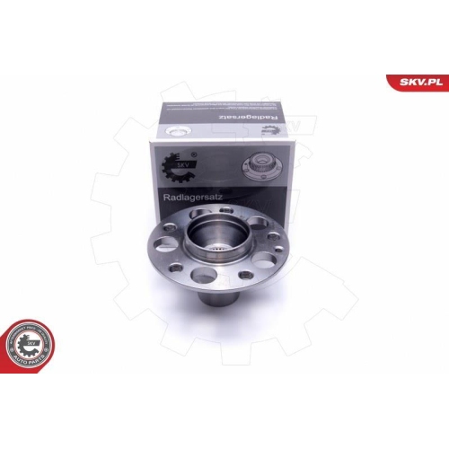 ESEN SKV Radlagersatz