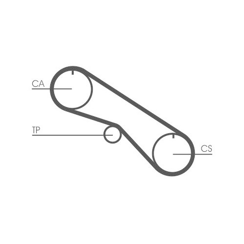CONTINENTAL CTAM Zahnriemen