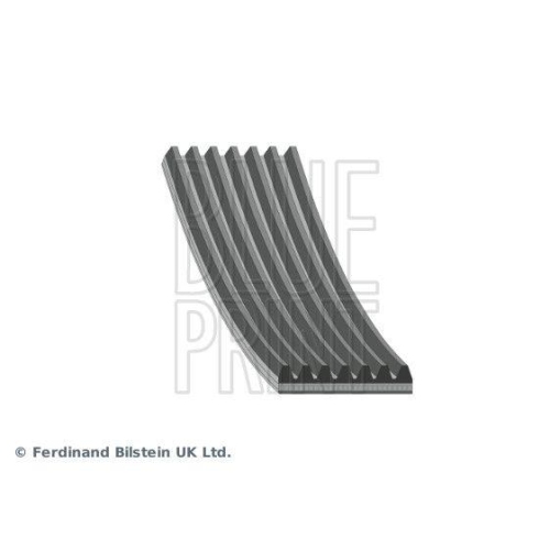 BLUE PRINT Keilrippenriemen