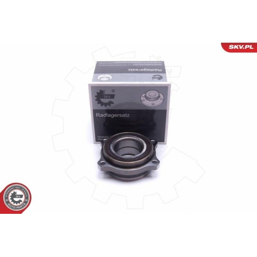 ESEN SKV Radlagersatz