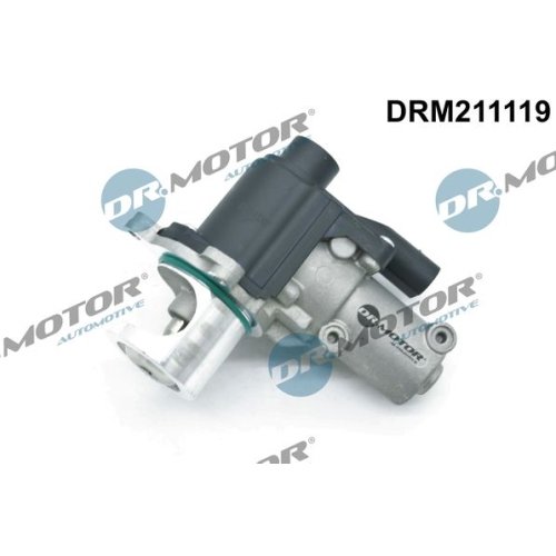 Dr.Motor Automotive AGR-Ventil