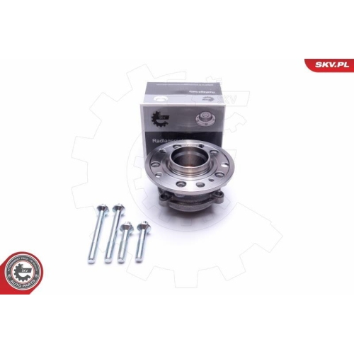 ESEN SKV Radlagersatz