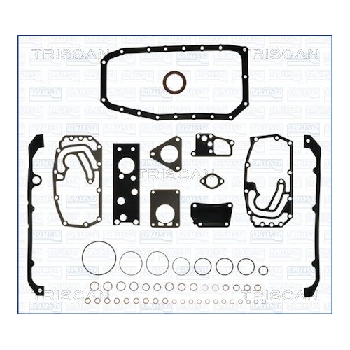 TRISCAN Dichtungssatz, Kurbelgehäuse