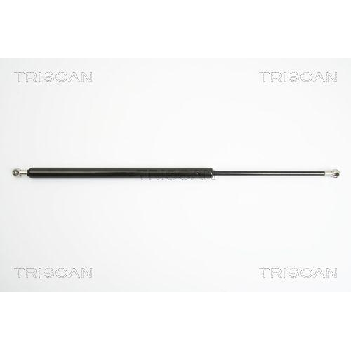 TRISCAN Gasfeder, Koffer-/Laderaum