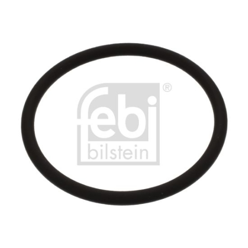 FEBI BILSTEIN Dichtring, Düsenschacht