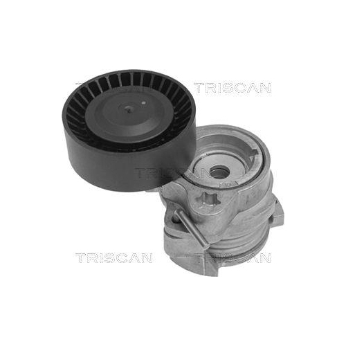 TRISCAN Riemenspanner, Keilrippenriemen