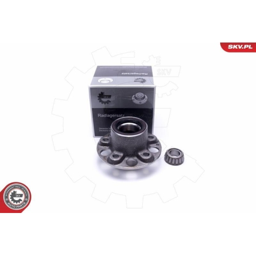 ESEN SKV Radlagersatz